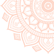 vector