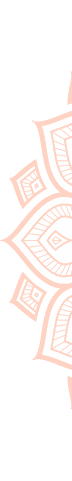 vector