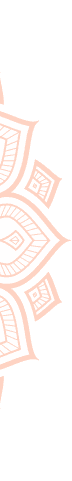vector