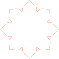 vector