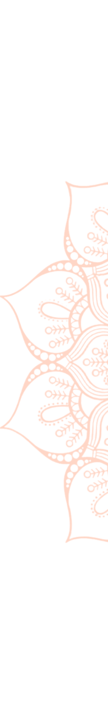 vector