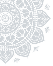 vector