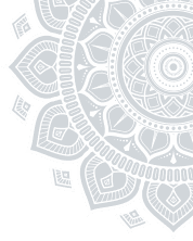 vector